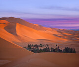 Green oasis with palm trees over sand dunes in Erg Chebbi of Sahara desert on sunset time in Morocco, North Africa