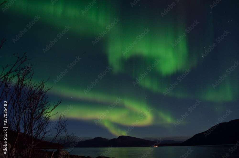 Fototapeta premium mighty aurora borealis dancing on night sky over mountain and fjord landscape in late autumn in the arctic circle