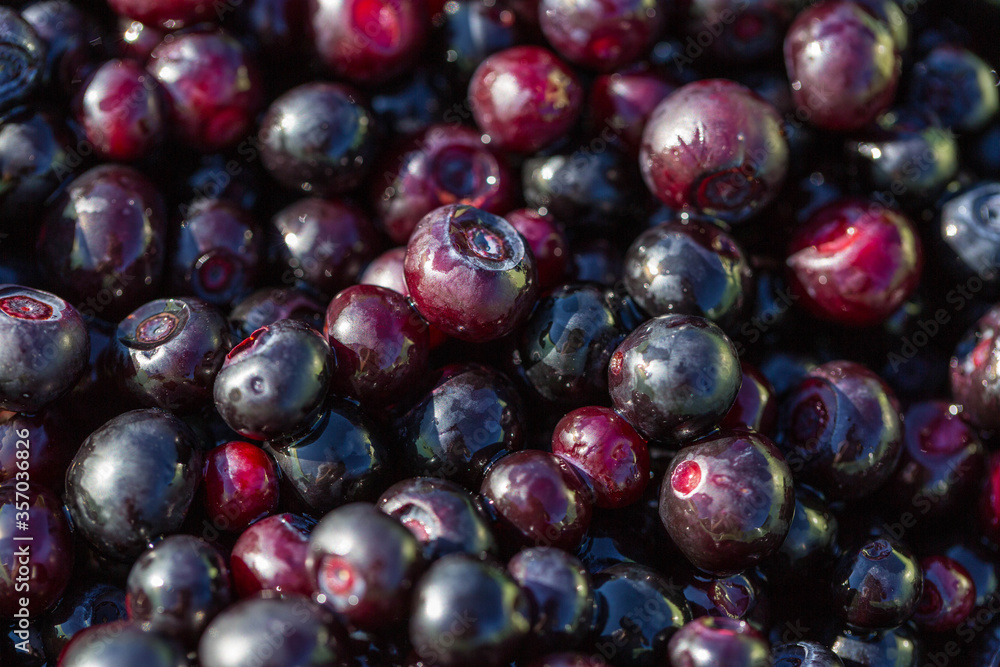 Ταπετσαρία Macro shot of wild huckleberries