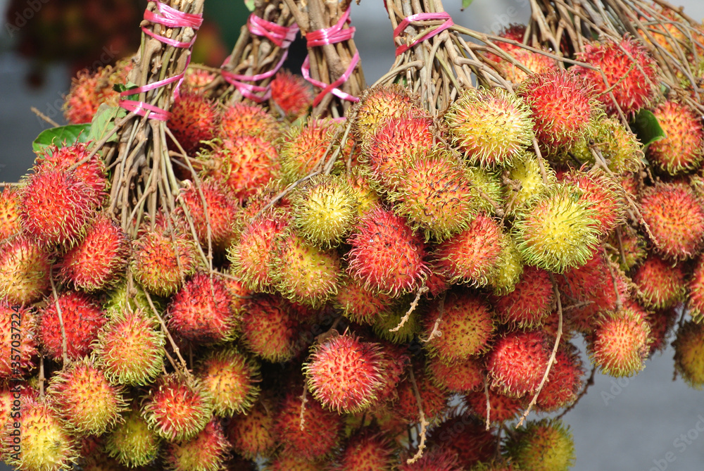 Piles of ripe mangoes on display for sale. Stock Photo Adobe Stock