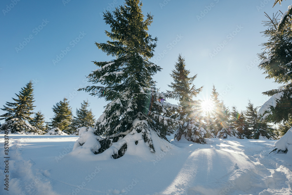 A man riding skis down a snow covered slope A man riding skis down a snow covered slope