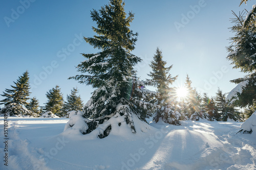 A man riding skis down a snow covered slope © Дмитро Григорчак