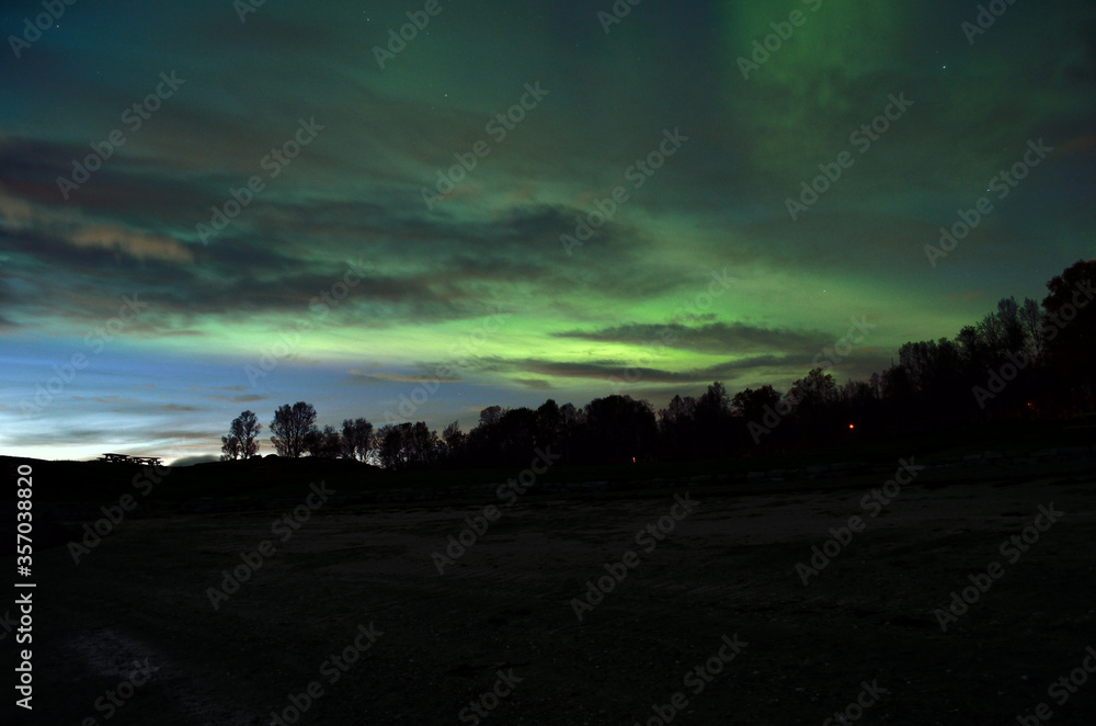 custom made wallpaper toronto digitalbeautiful aurora borealis dancing over dark autumn forest