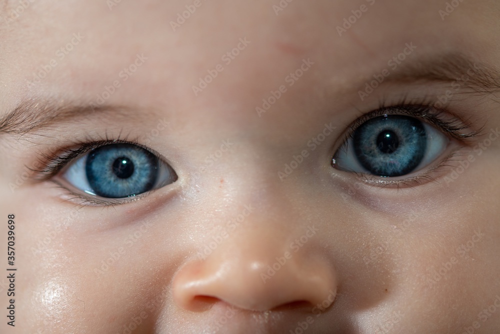 Naklejka premium Occhi di una bambina