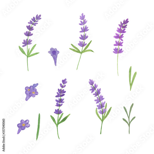 Delicate lavender flowers set watercolor illustration romantic symbol of summer holidays in French Provence elements for making cards  invitations  textile