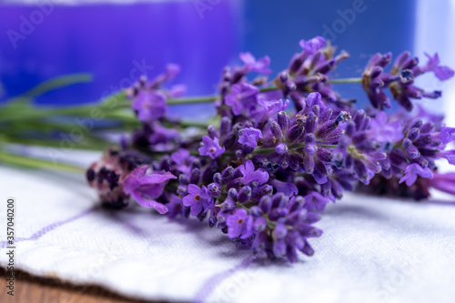 Fototapeta Naklejka Na Ścianę i Meble -  Bunch of fresh, purple aromatic lavender flowers in gift shop in Provence, France