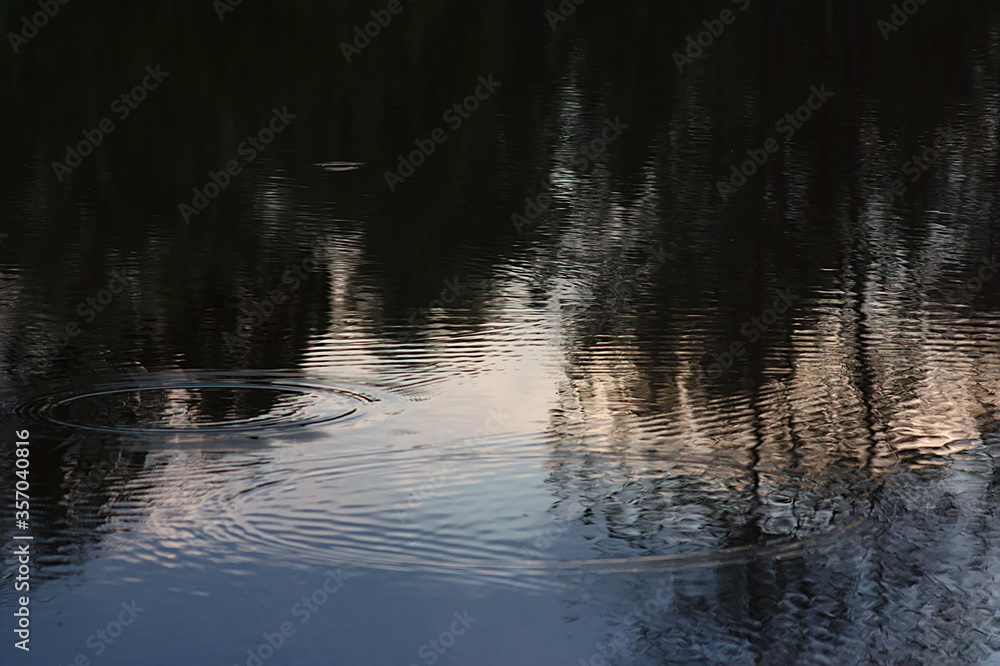 reflection of trees and evening sky in the lake water