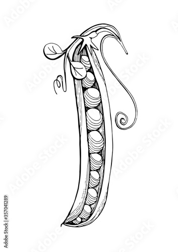 Pea Pod Graphic black and white image of peas drawn in black marker. Trace