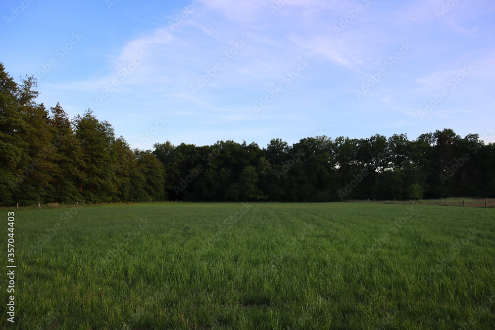 green field and blue sky green field and blue sky