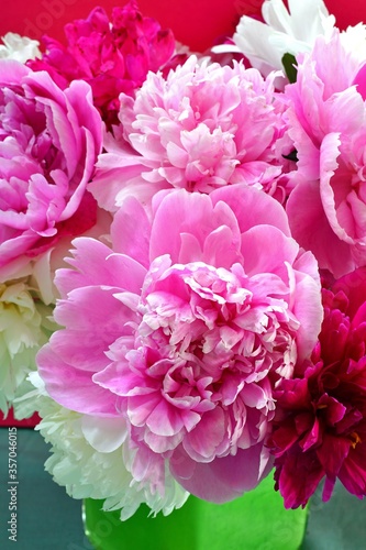 Bouquet of fragrant white and pink herbaceous peony flowers