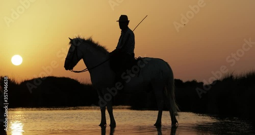 Tilt up shot of silhouette wrangler riding horse in sea against clear orange sky during sunset - Camargue, France