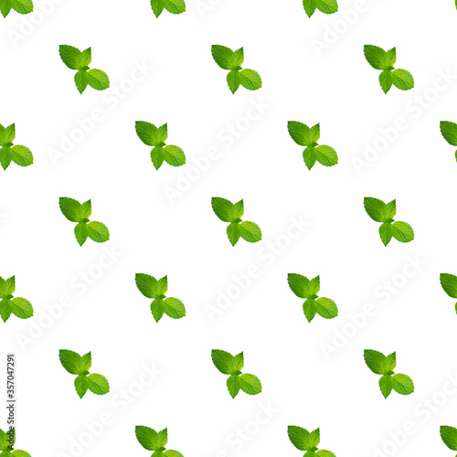 Pattern of sprigs of fresh mint. A seamless pattern.