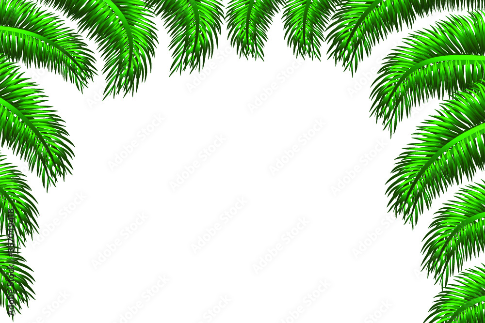 Summer palm leaves on a white background. Summer holidays with exotic leaves. Stock vector illustration isolated on a white isolated background.