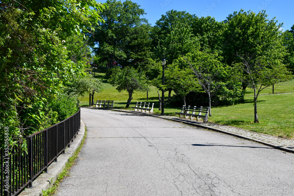 Winding park road with benches