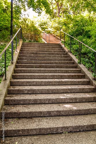 stairway to nature in spring