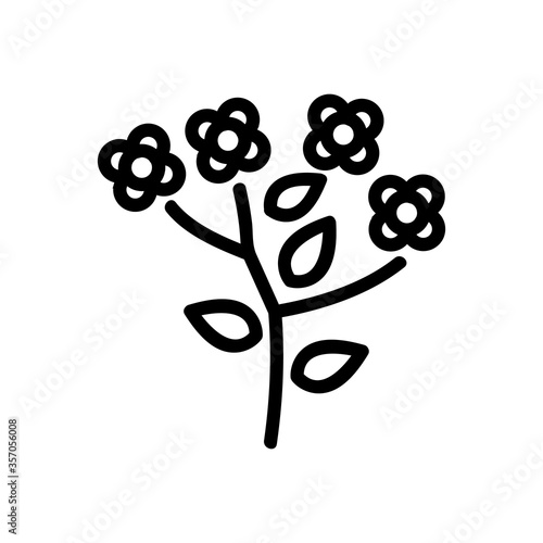 canola blossom flowers icon vector. canola blossom flowers sign. isolated contour symbol illustration