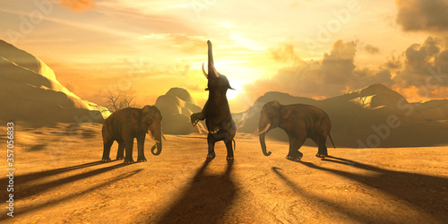 elephants on a background of sunset and a beautiful yellow sky