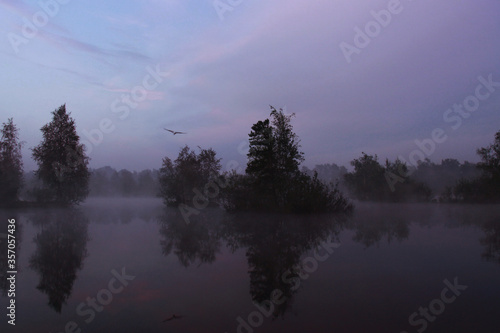 Foggy summer morning on the lake © Eva