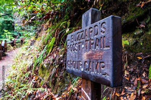 Buzzard's Roost Trail
