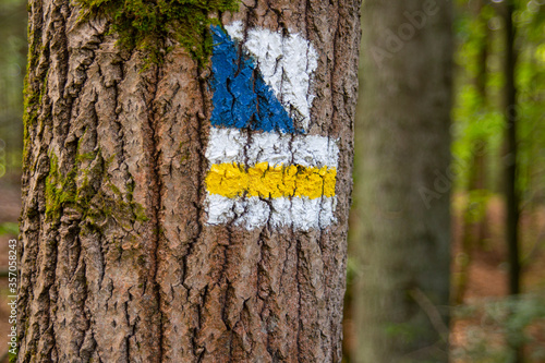 Trail marking on tree trunk, direction signs in forest for hikers, close up