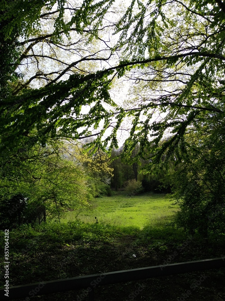 Naklejka premium Natur