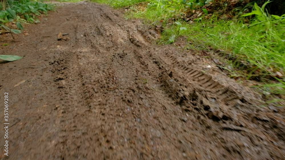 Closeup of wheel tracks of mountain bikes in the mud of a footpath with roots in the forest. Seen in Franconia / Germany near Nuremberg in June. Closeup of wheel tracks of mountain bikes in the mud of a footpath with roots in the forest. Seen in Franconia / Germany near Nuremberg in June.
