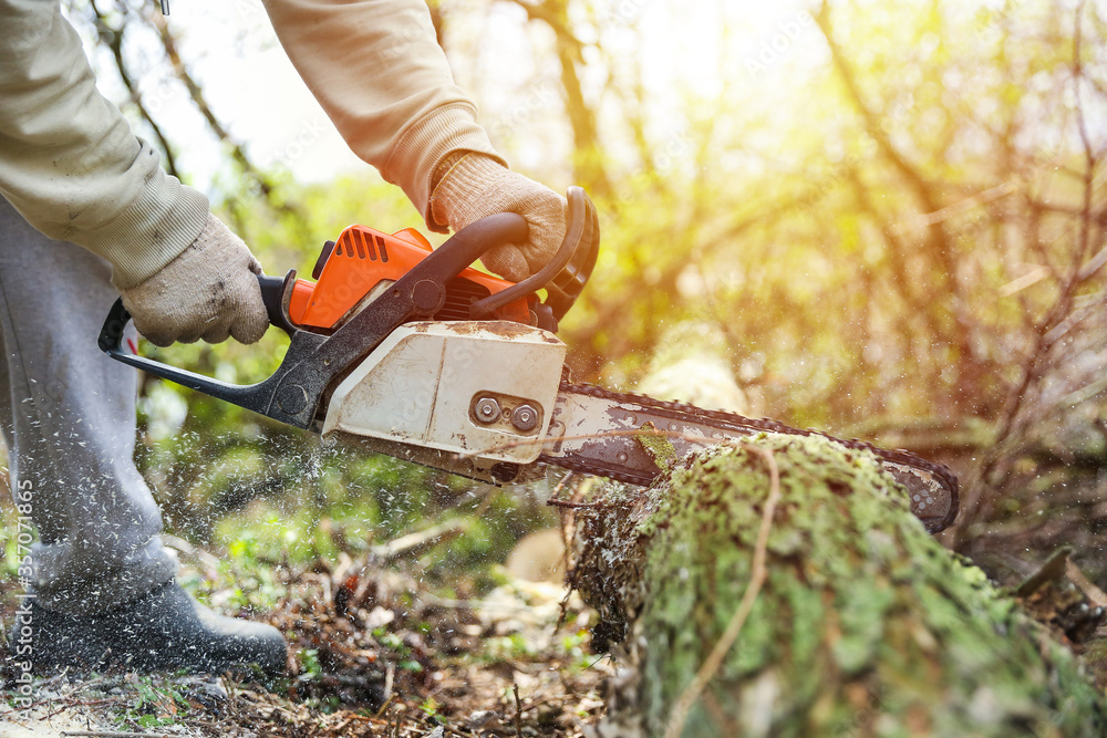hands of lumberjack hold cutting chainsaw on background of forest close up hands of lumberjack hold cutting chainsaw on background of forest close up