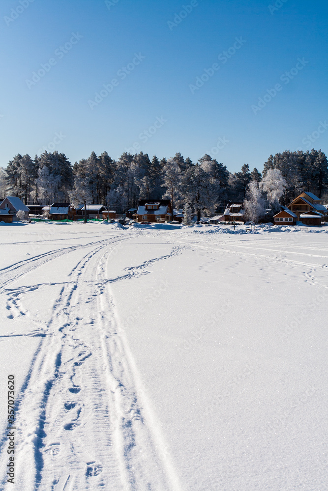 Snowy field with traces, trees at winter Snowy field with traces, trees at winter