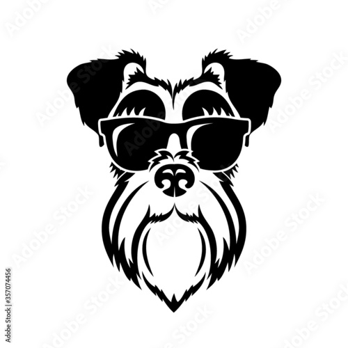 black and white schnauzer dog wearing sunglasses - vector illustration photo