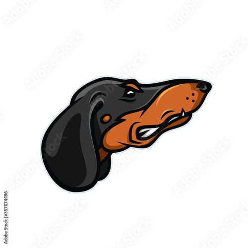 vector illustration of a dachhound dog - vector illustration