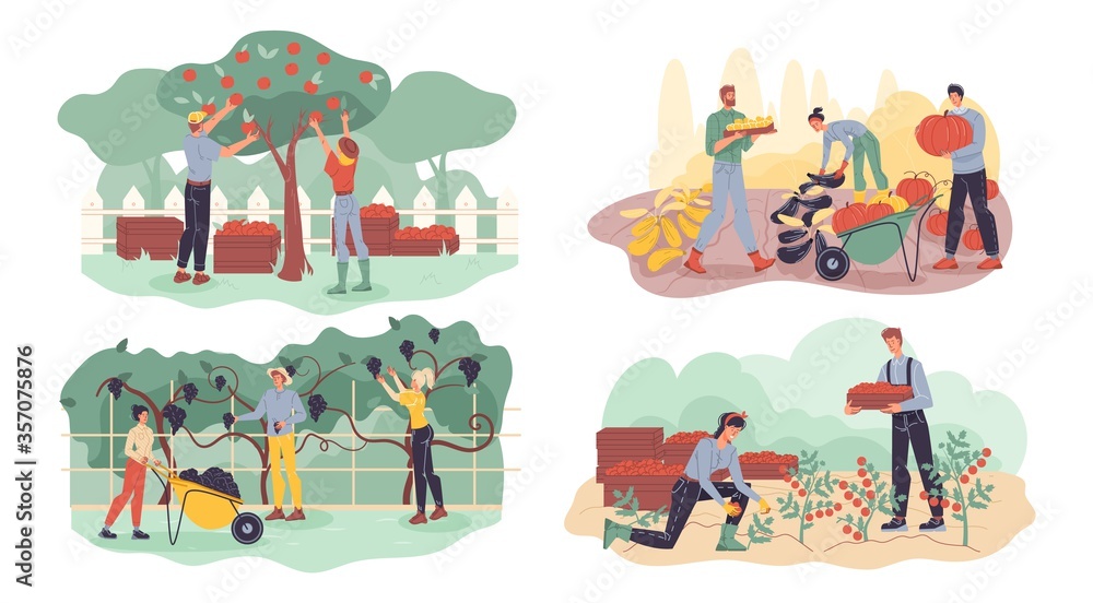 Naklejka premium Farmer gathering fruit, berry, vegetable harvest set. Garden agriculture horticulture autumn crop collection. Harvesting agrarian people doing farming job. Man woman working together in garden