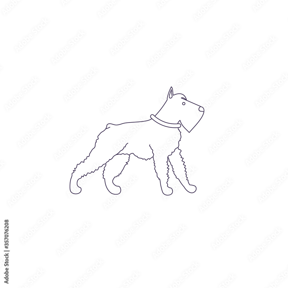 Fototapeta premium Funny line style icon of mittelschnauzer dog for different design.
