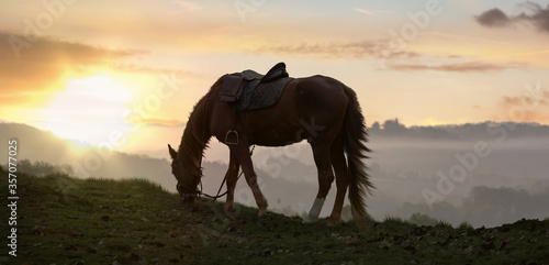 a Horse grazing with sunset in the background.