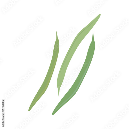 Green Beans, Vegetable Icon Vector Illustration Background