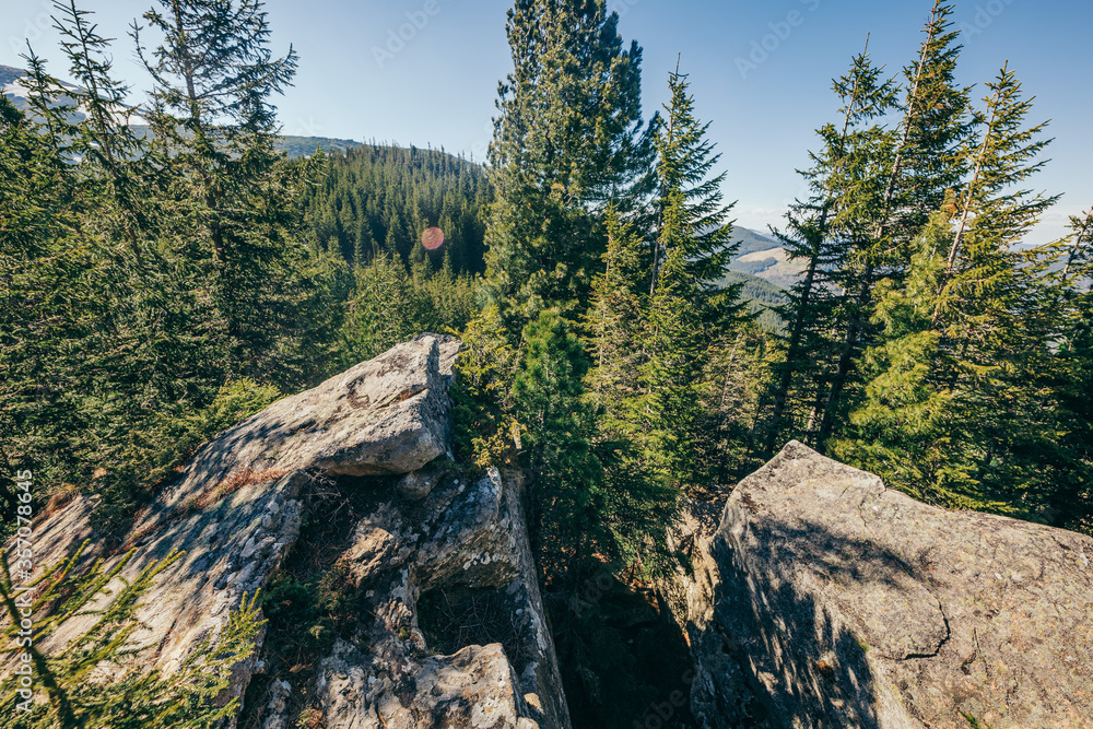 A close up of a rock mountain with trees in the background A close up of a rock mountain with trees in the background