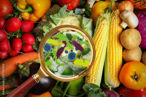 Canvastavla Magnifying glass and illustration of microbes on vegetables, top view