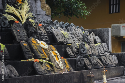 Statues of Naga Devta (Nag Dev) or Serpent God, Worshipped in South India. Naga-Panchami. Kul Devata. Local God. South Indian Temple. Black Granite Sculpture, Mangalore. Naag Mandir. Tulu Nadu. Many. photo
