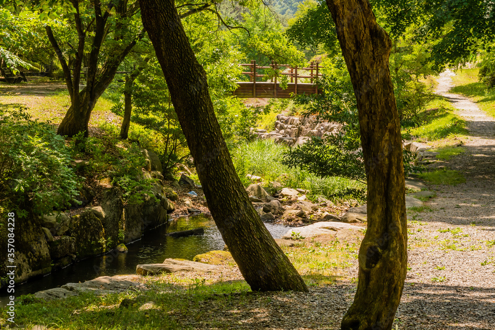 Wooden footbridge between shade trees. Wooden footbridge between shade trees.