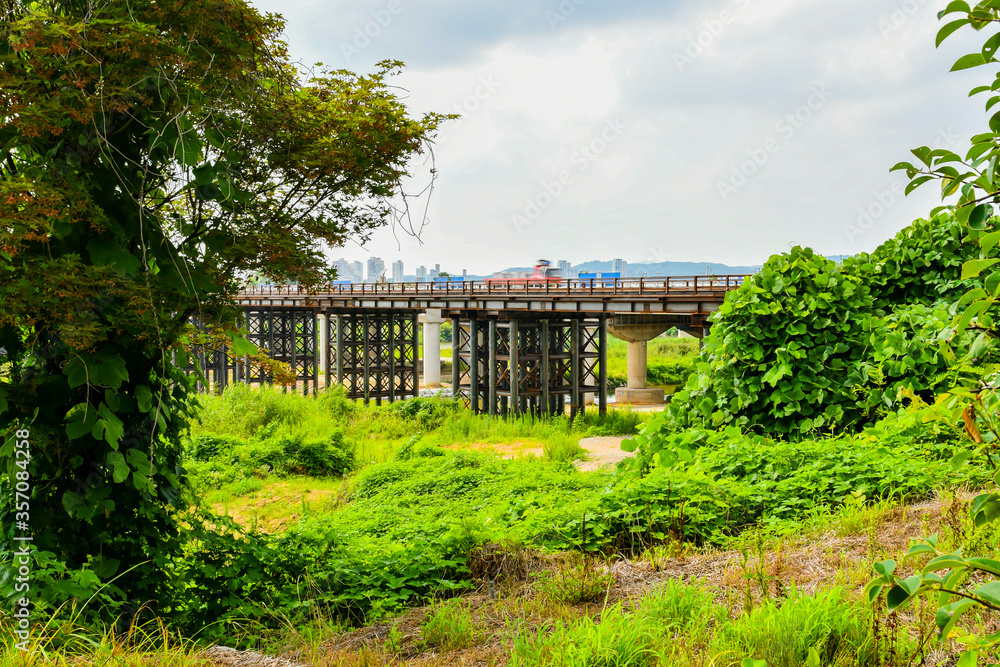 Iron substructure of bridge