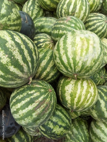 watermelons 
