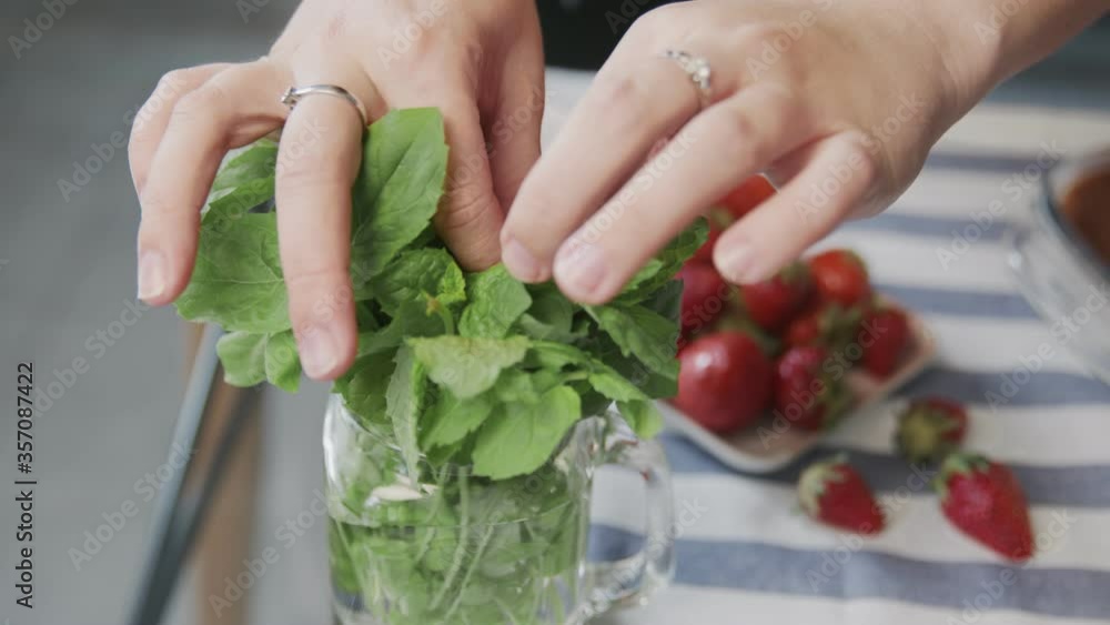Professional chef is cooking tiramisu cake. Close up of woman tears off a mint leafs to places it on top of a beautiful tiramisu cake Professional chef is cooking tiramisu cake. Close up of woman tears off a mint leafs to places it on top of a beautiful tiramisu cake
