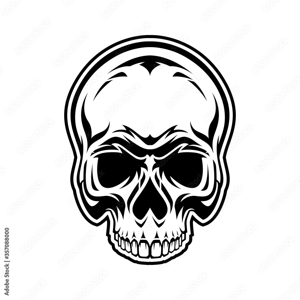 Fototapeta premium Skull Head Line Art Illustration