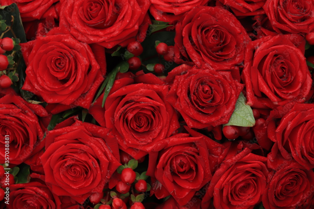 Red bridal roses with drops Red bridal roses with drops