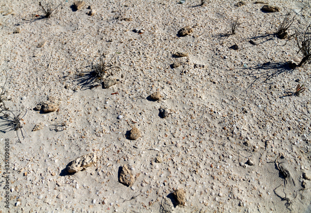 Fototapeta premium Sand and limestone coastal ground, Australia
