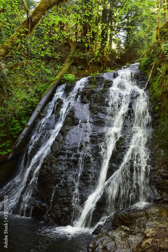 Fototapeta Naklejka Na Ścianę i Meble -  Dickerson Falls in Washington 