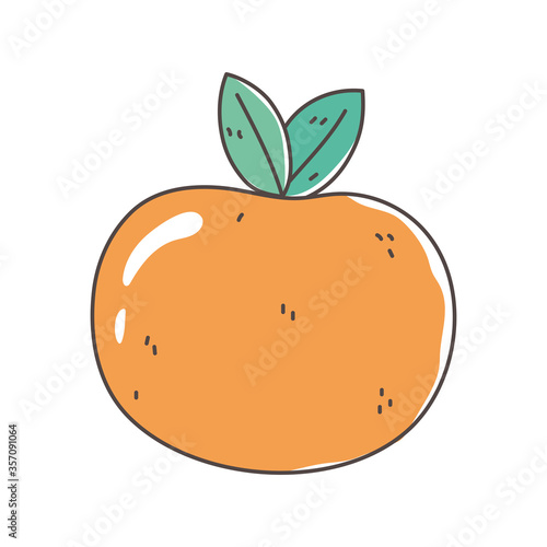 orange fruit fresh nutrition healthy food isolated icon design