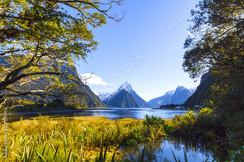 Obraz na płótnie Panoramic View at Milford Sound, South Island, New Zealand; Morning Time Scenery w salonie