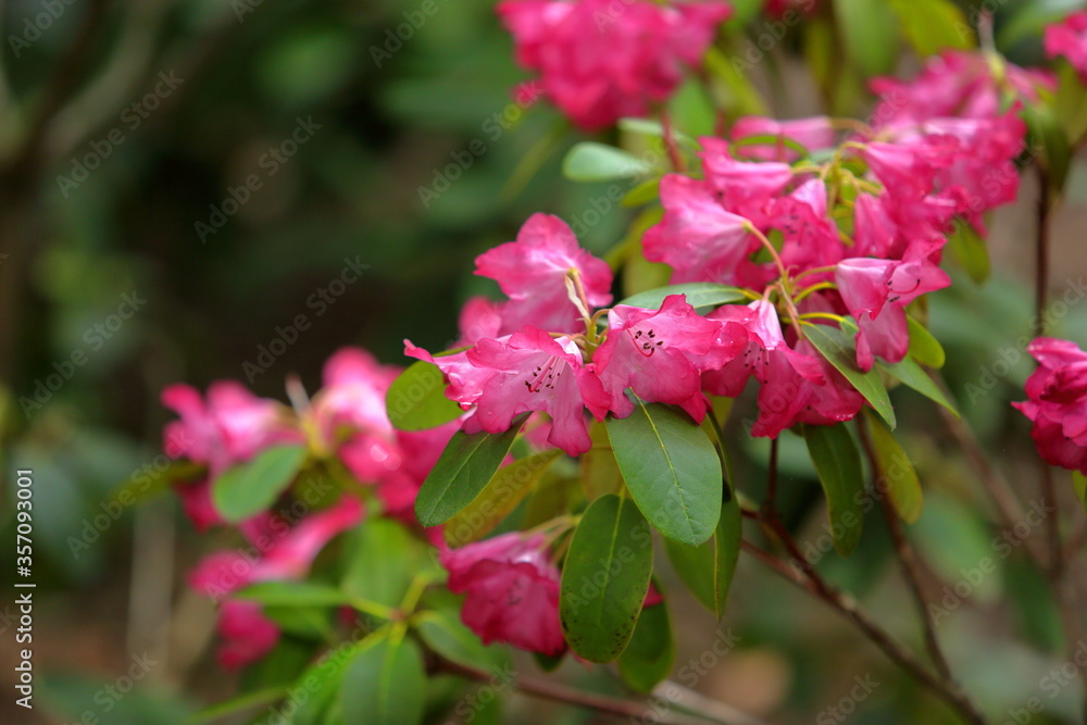 spring love colors calm green life