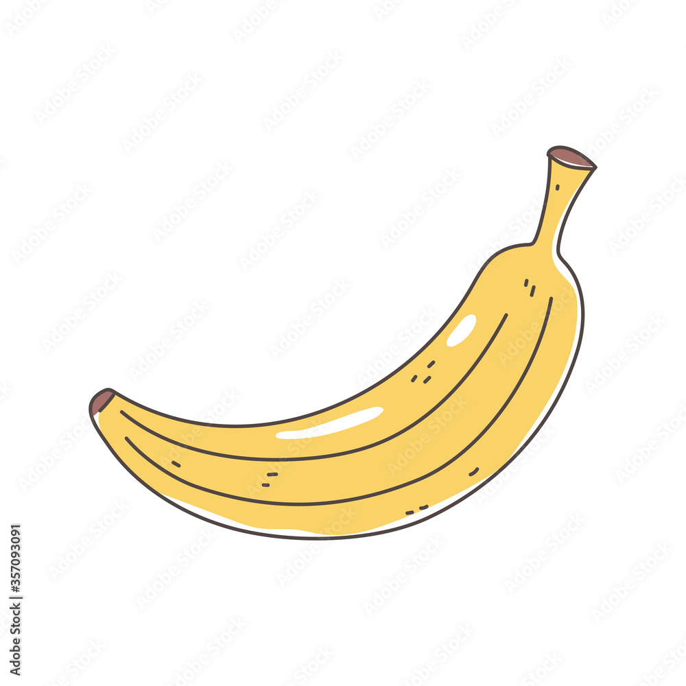 banana tropical fruit fresh nutrition healthy food isolated icon design