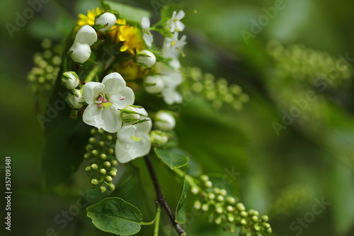 spring love colors calm green life